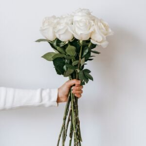 Crop unrecognizable person with bunch of white roses in hand on white background